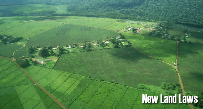 New-Land-Laws