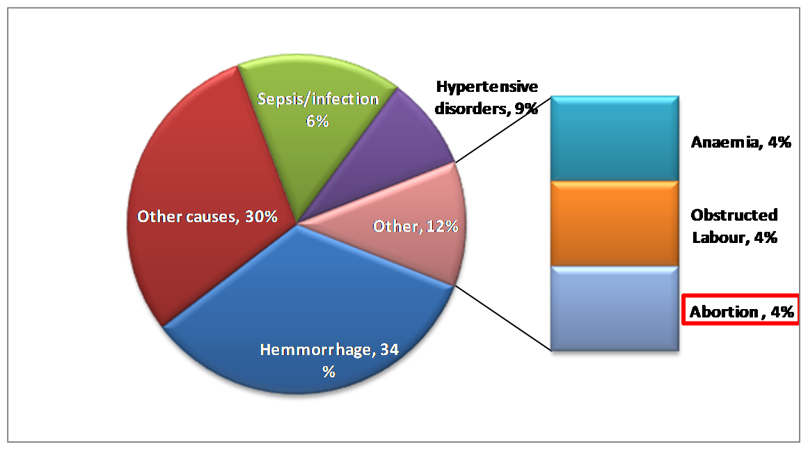 proportions of the causes of maternal death