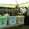 Elections Observation